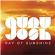 Guru Josh - Ray Of Sunshine