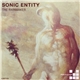 Sonic Entity - The Rainmaker